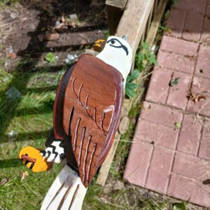 2d layered bald eagle