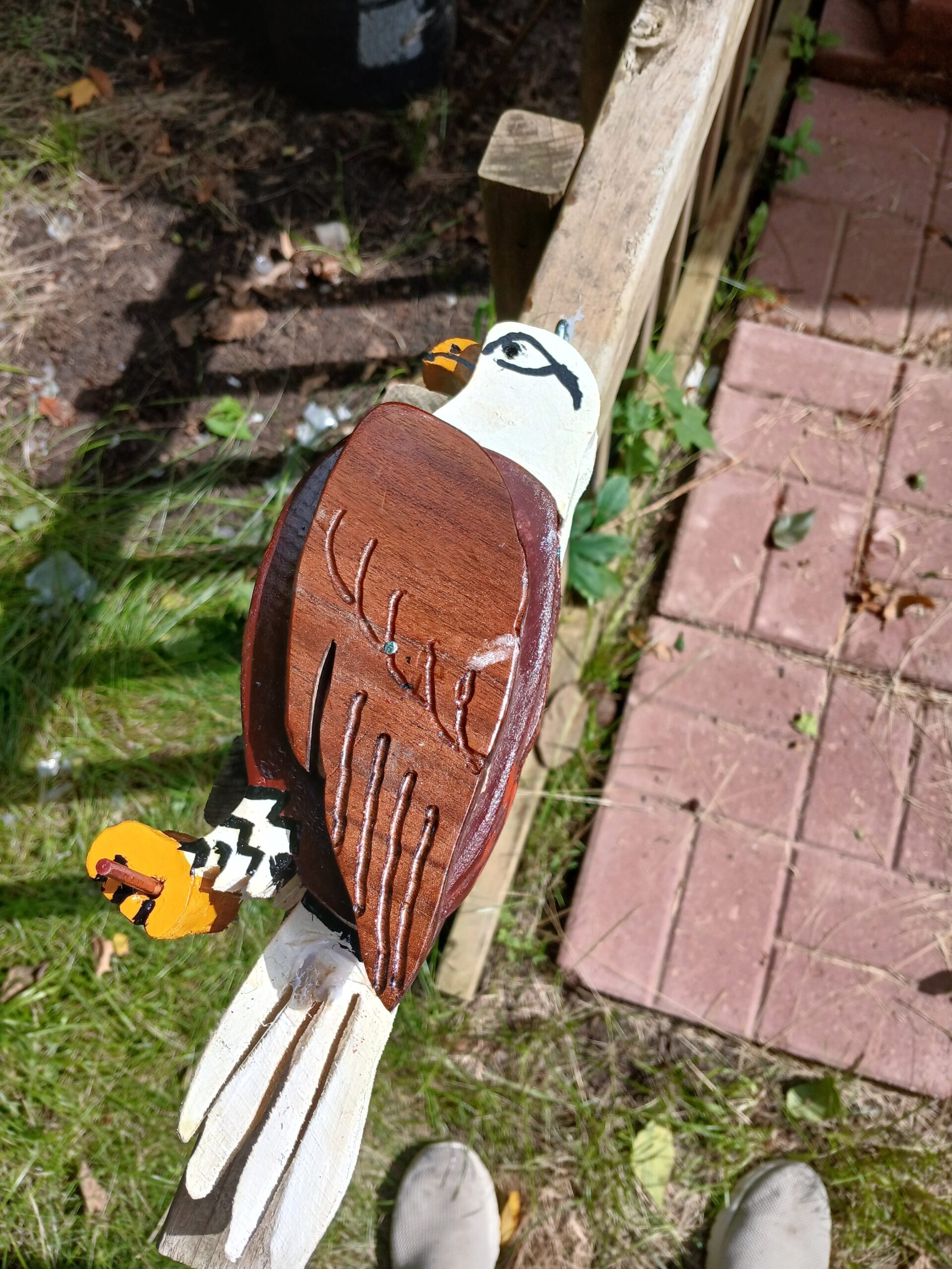 2d layered bald eagle