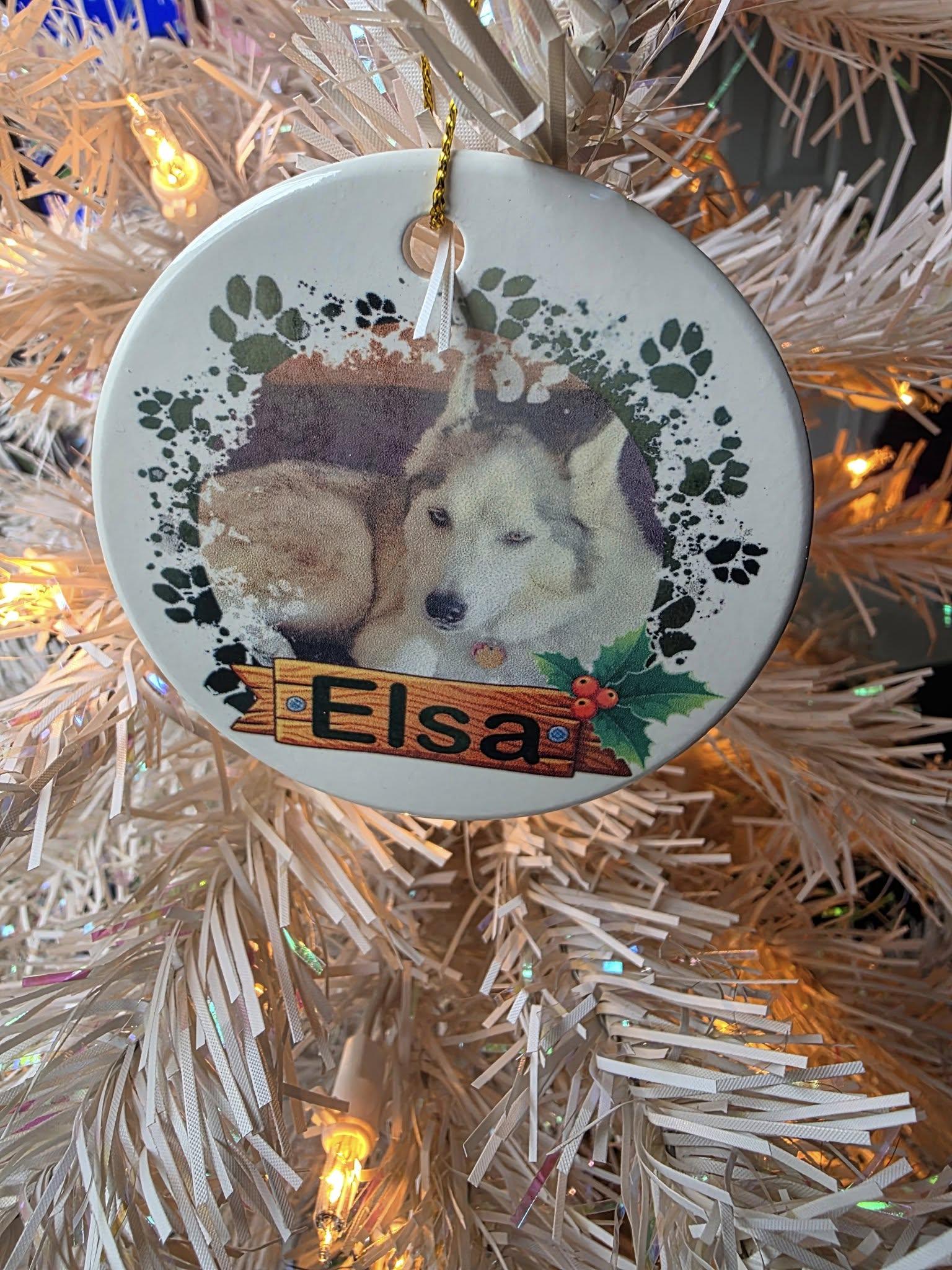 Custom Photo Pet Ornament