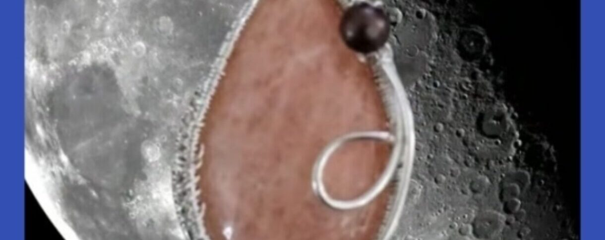 Metaphysical Corridor