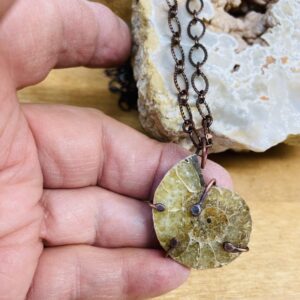 Ancient Fossil Ammonite Necklace on Copper