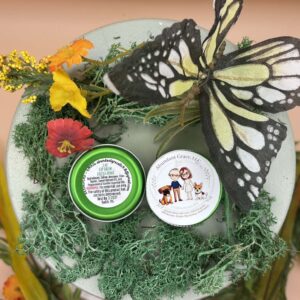 LIP BALM - FRESH MINT